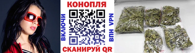кракен рабочий сайт  Кашин  Бошки Шишки ГИДРОПОН  купить  цена 